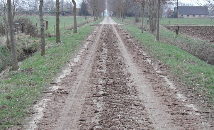Asfealtweg met modder