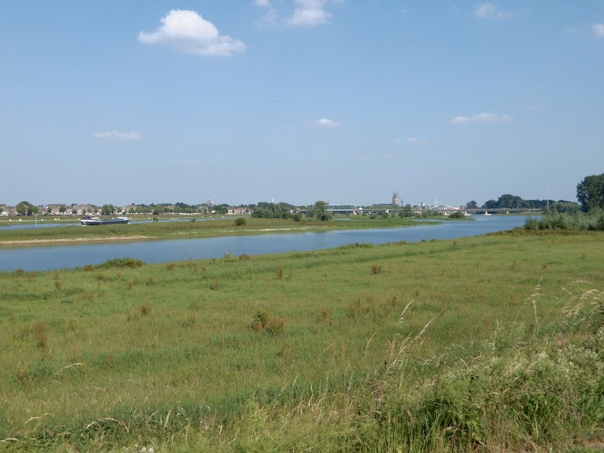 Ijssel bij bandijk