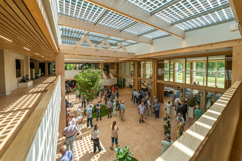 Hal gemeentehuis Twello