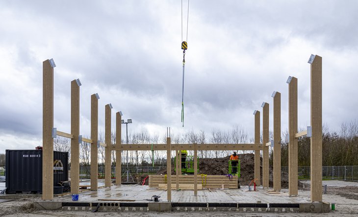 Staande houten palen op de betonnen vloer