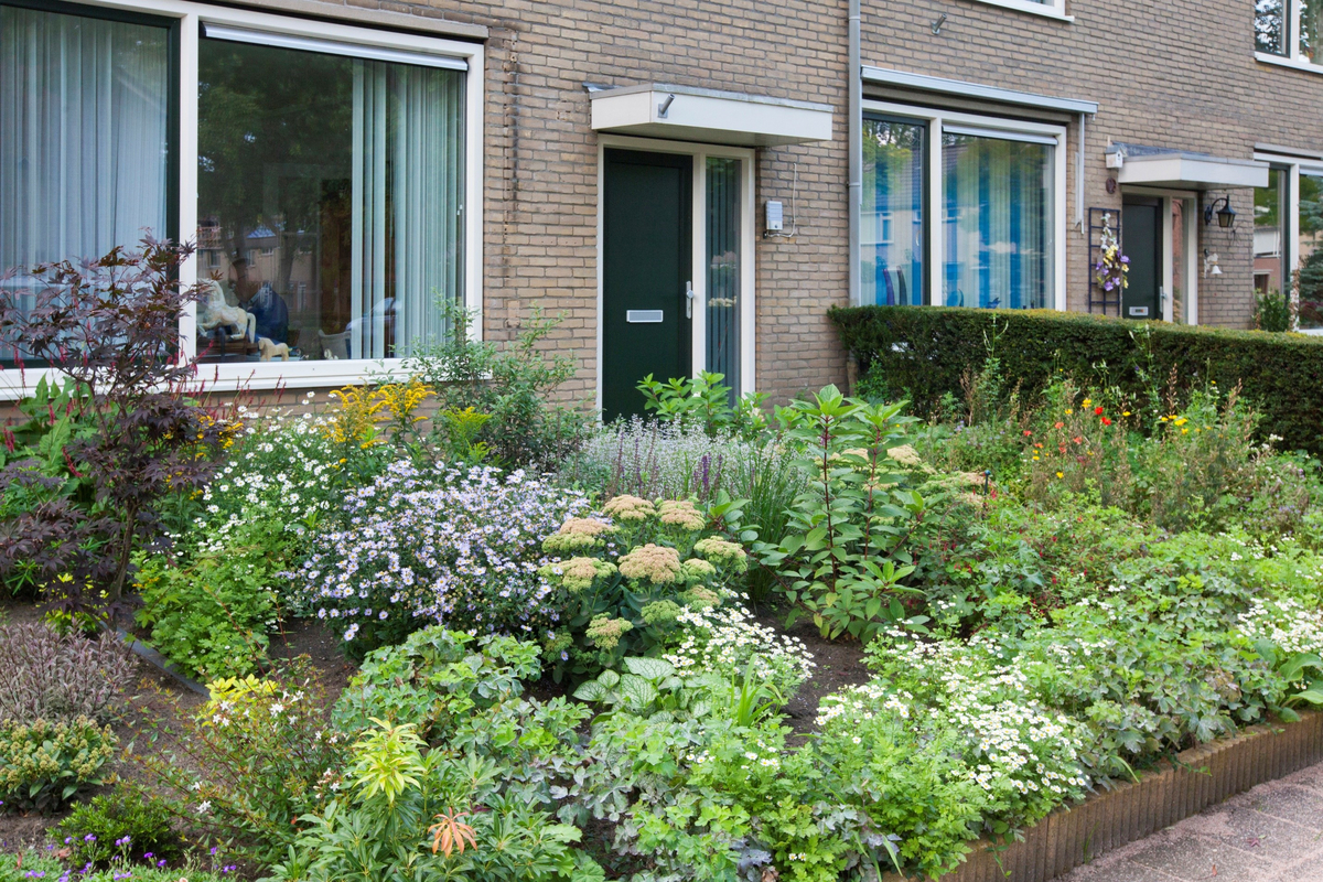 Het is bijna voorjaar! Tijd om je tuin te vergroenen