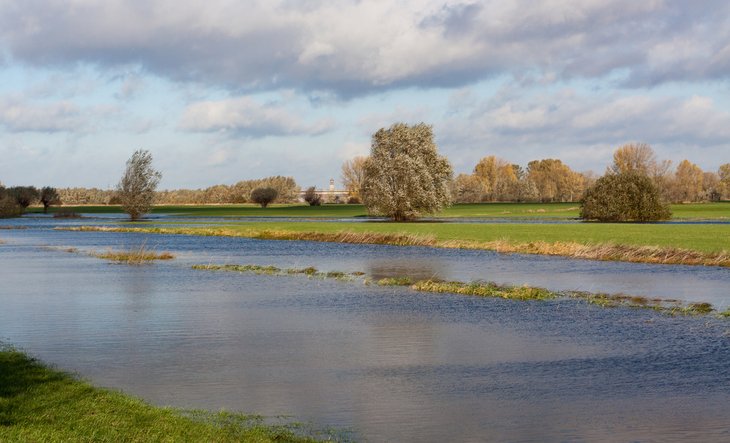 Afbeelding natuur Voorster Klei