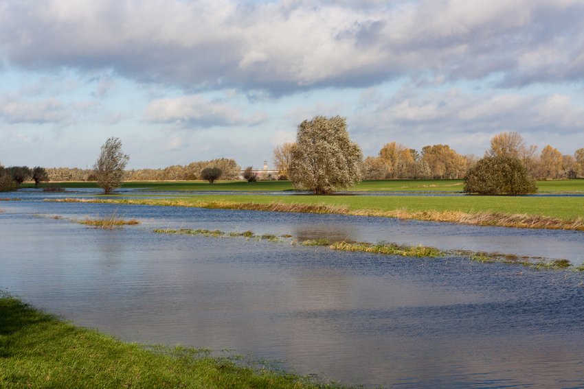 Afbeelding natuur Voorster Klei