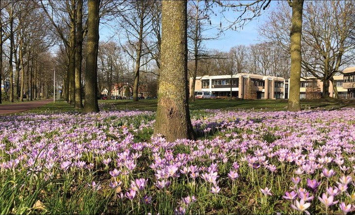 Gemeentehuis Lente