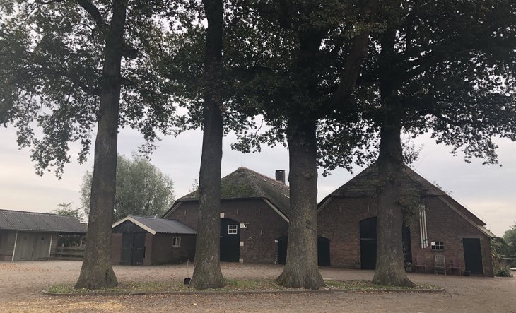 Lieverink, De Riete 56
