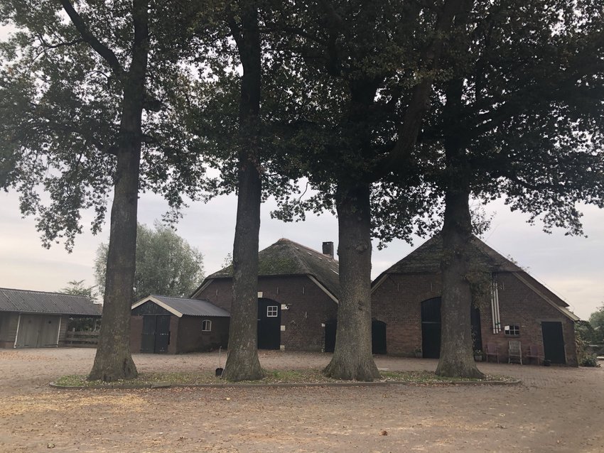 Lieverink, De Riete 56