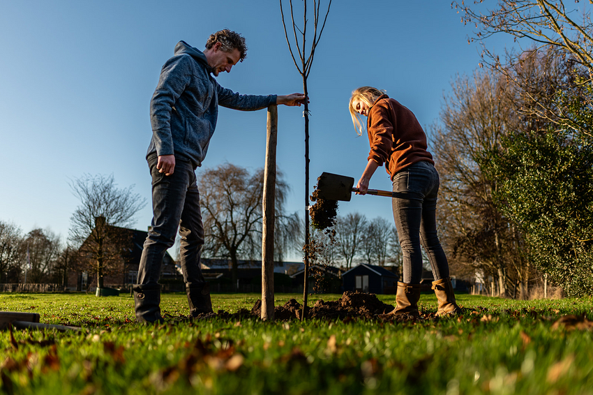 beplantingsproject Gemeente Voorst in het Groen