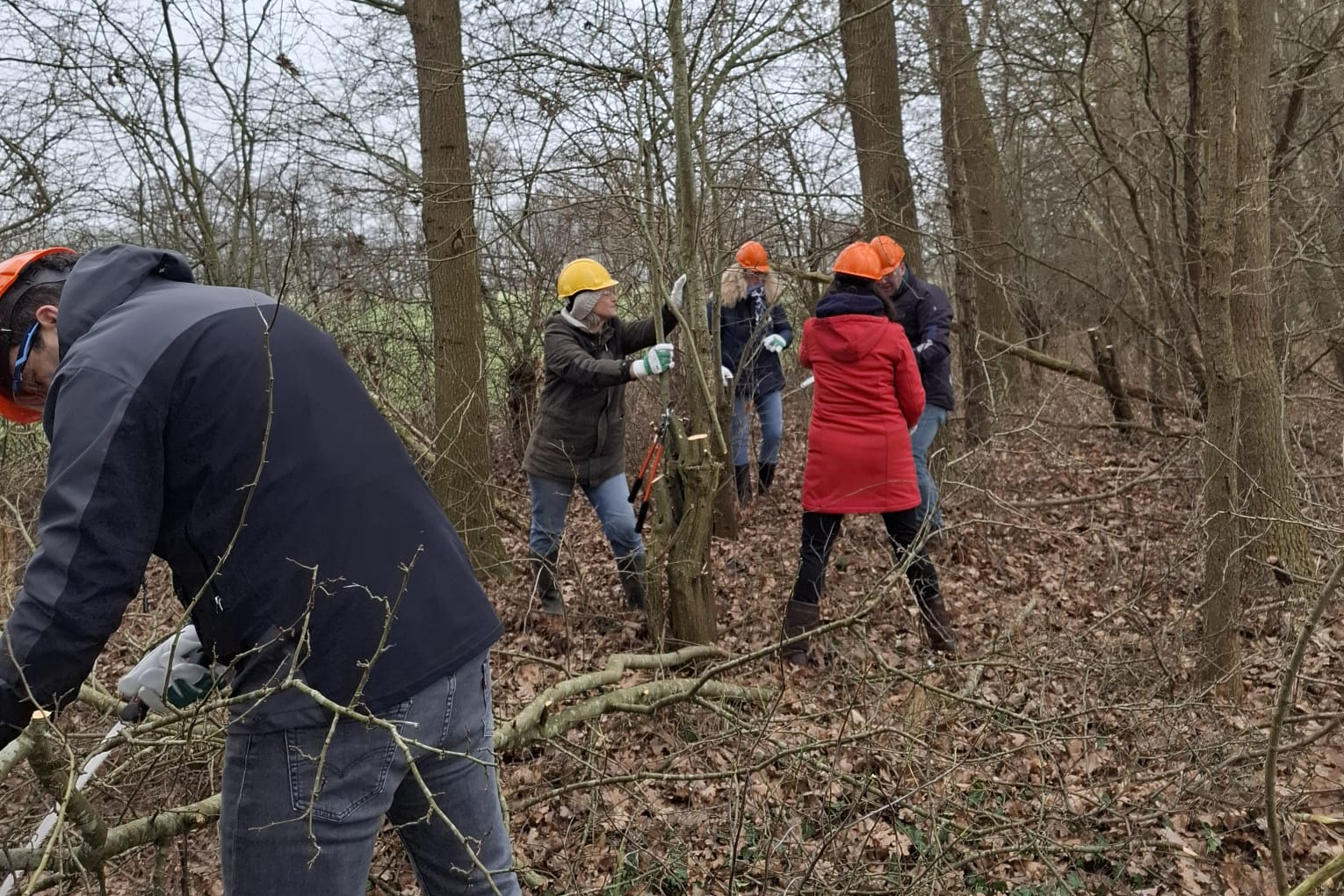 Cursus Beheer groene landschapselementen SLG positief afgerond