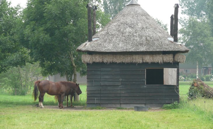 Vierroedige steltenberg, Veluwsedijk 47a