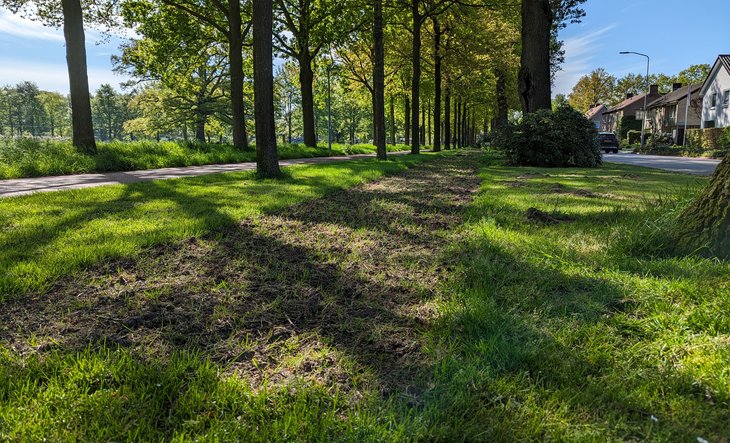 Ingezaaide strook in de grasberm naast de H.W. Iordensweg in Twello