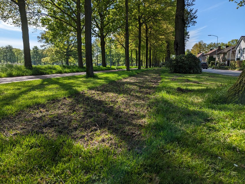 Ingezaaide strook in de grasberm naast de H.W. Iordensweg in Twello