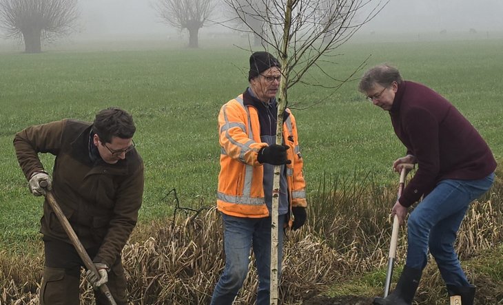 Planten van een boom