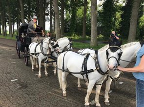 afcheidstournee de vecht