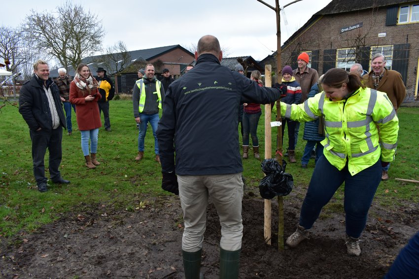 Iemand van Landschapsbeheer Gelderland plant een boom