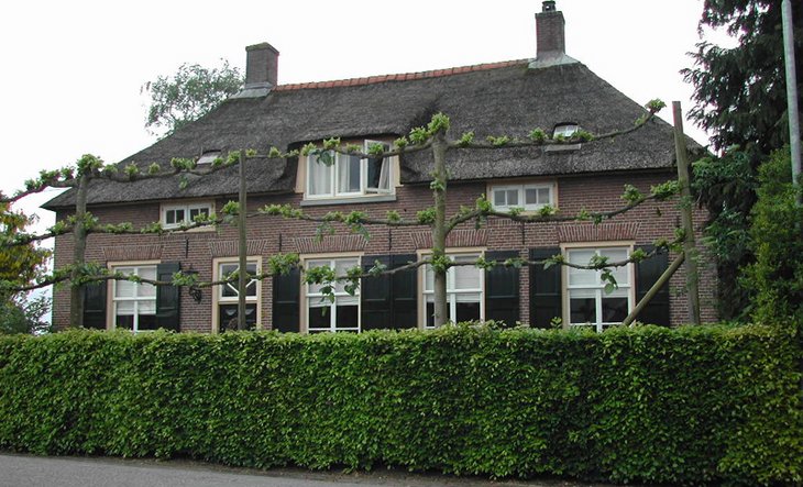 Boerderij, Wijkseweg 6