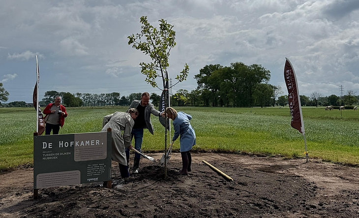 De boom wordt geplant