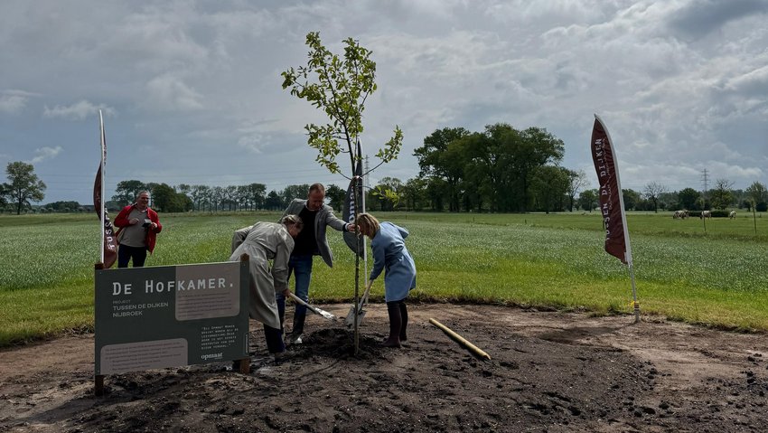 De boom wordt geplant