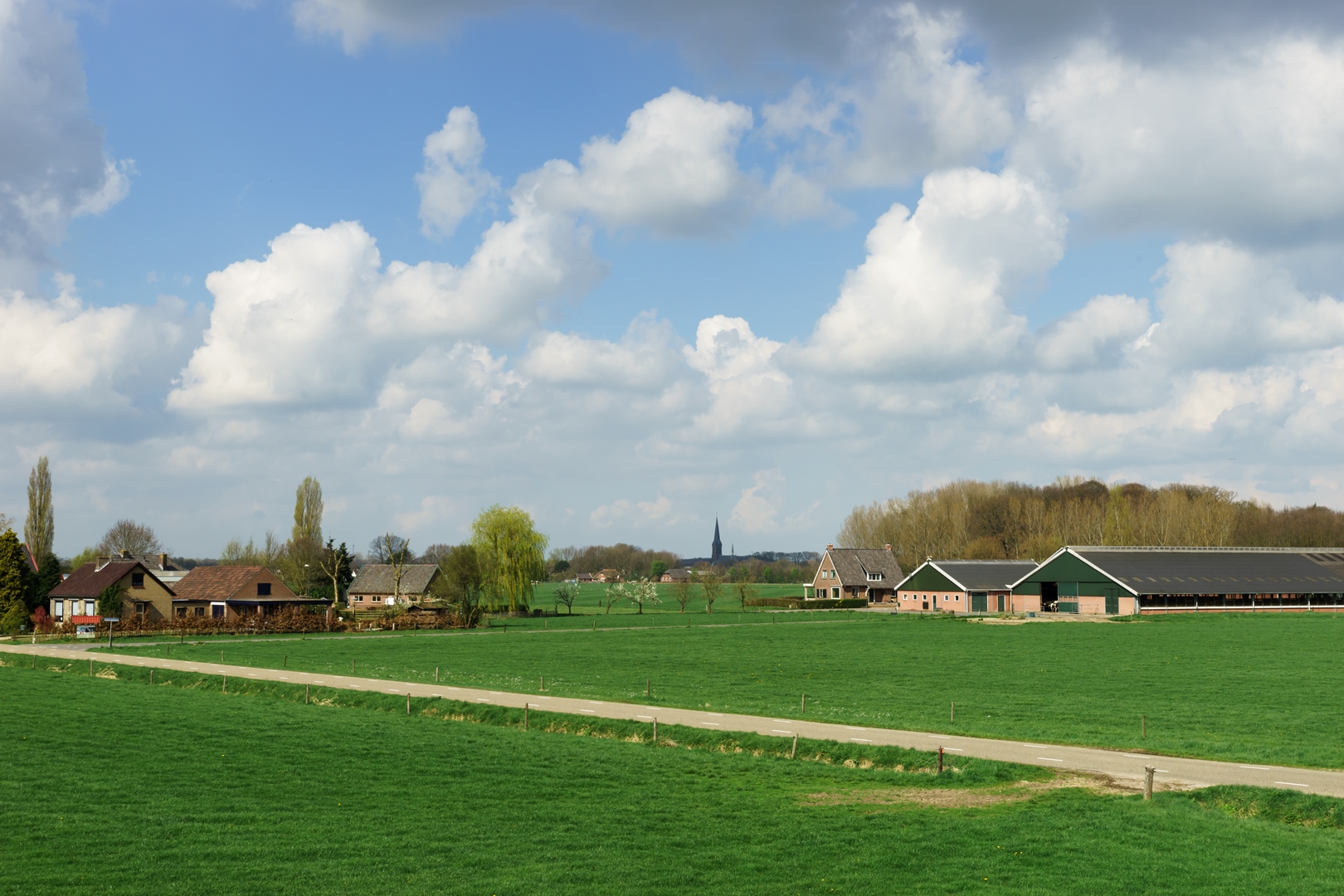 Boerderij