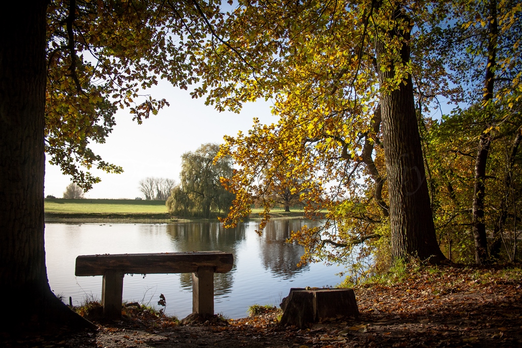 Bankje herfst