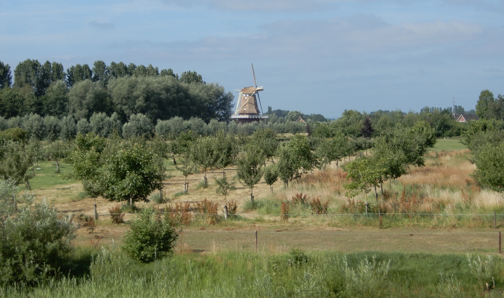 Terwolde