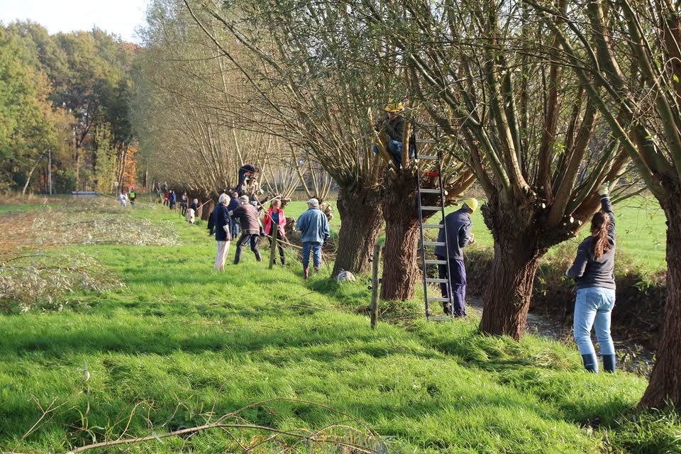 Gratis cursus Beheer groene landschapselementen voor grondeigenaren in Voorst