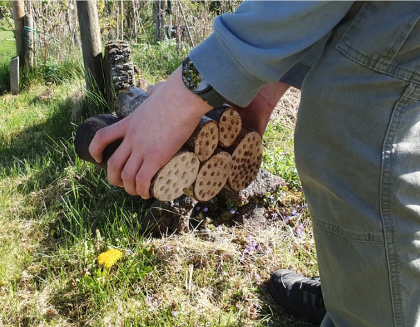 Change Makers: jongeren in actie