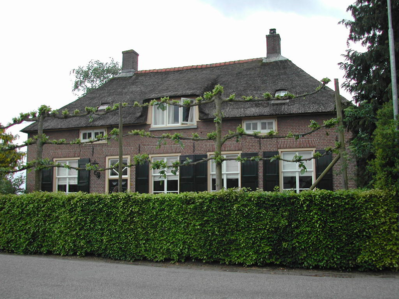 Boerderij, Wijkseweg 6