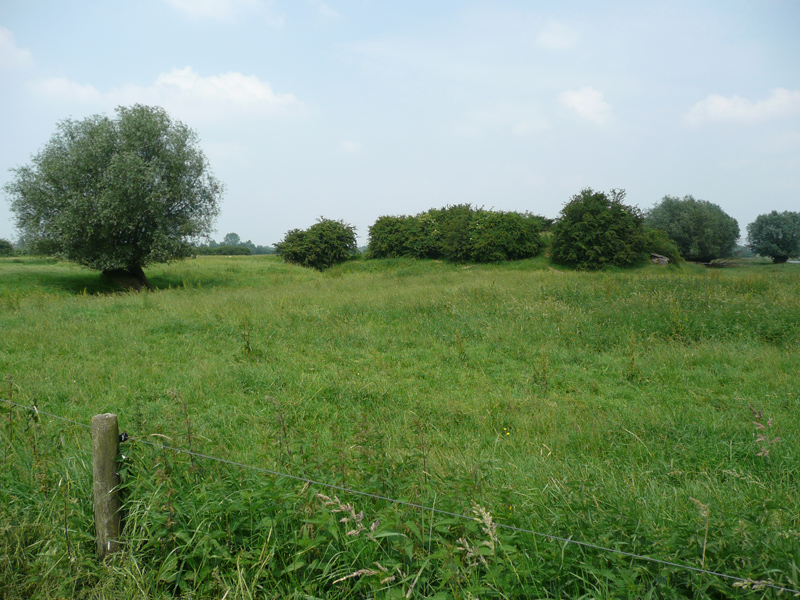 Dommerholtbatterijen, nabij Weerdseweg 3